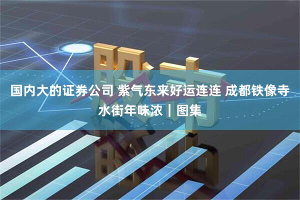 国内大的证券公司 紫气东来好运连连 成都铁像寺水街年味浓｜图集